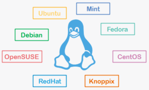 Les-différentes-distributions-Linux